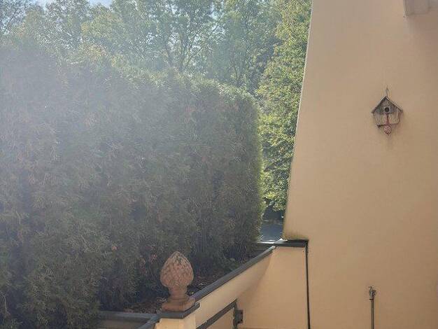 Wohnung zur Miete 1.590 € 1 Zimmer 45 m² 1. Geschoss Untergiesing-Harlaching München 81545
