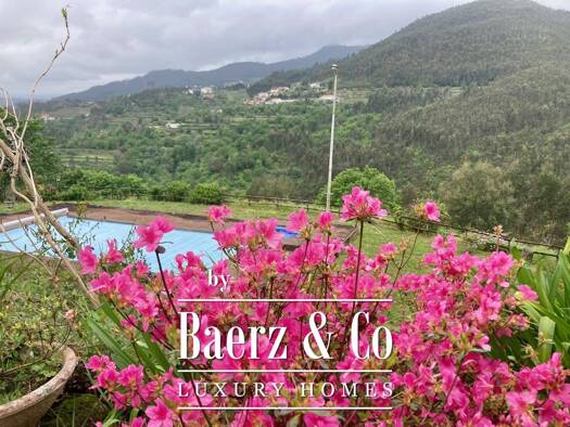 Haus zum Kauf 1.350.000 € 3 Zimmer 950 m² 18.000 m² Grundstück oliveira de frades
