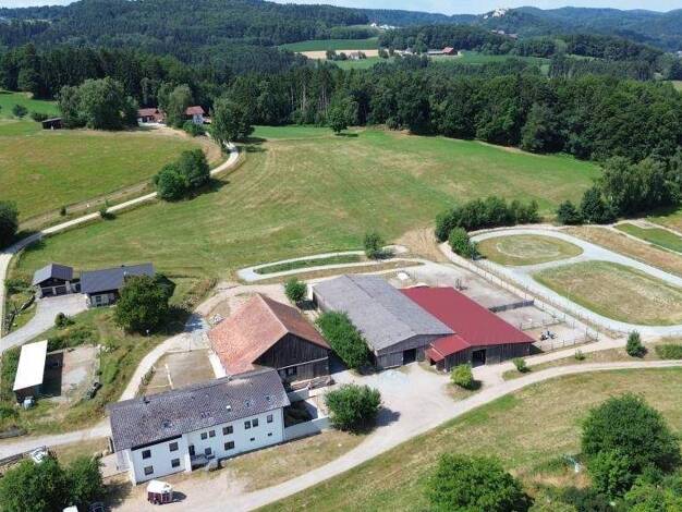 Mehrfamilienhaus zum Kauf 1.549.900 € 17 Zimmer 515,9 m² 45.000 m² Grundstück frei ab sofort Saffelberg Falkenstein 93167