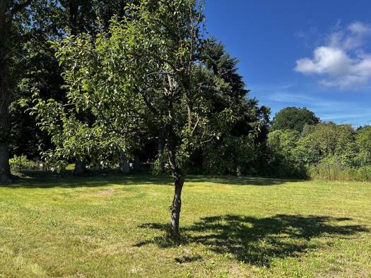 Grundstück zum Kauf 100.000 € 582 m² Grundstück Benz Benz 17429