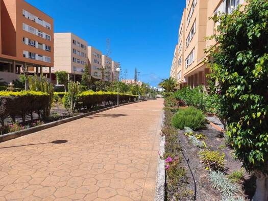 Wohnung zur Miete 1.300 € 3 Zimmer 90 m² Las Palmas de Gran Canaria 35019