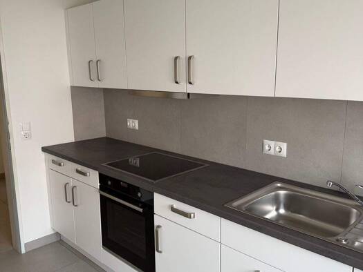 Wohnung zur Miete 730 € 1 Zimmer 67 m² frei ab sofort Lönsweg 4 Oberlauchringen Lauchringen 79787