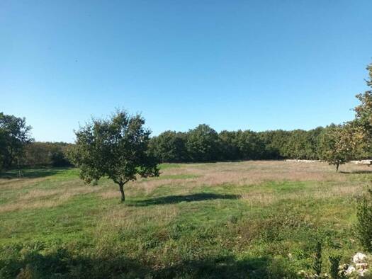 Grundstück zum Kauf 600.000 € 6.500 m² Grundstück Lovrec 21257