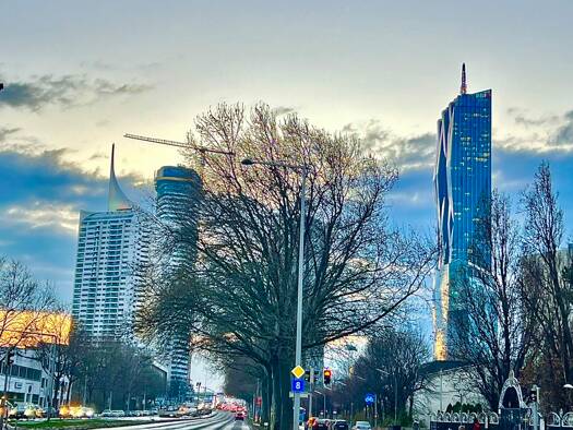 Praxis zur Miete 37,85 € Wien, Donaustadt / Wien 22., Donaustadt 1220