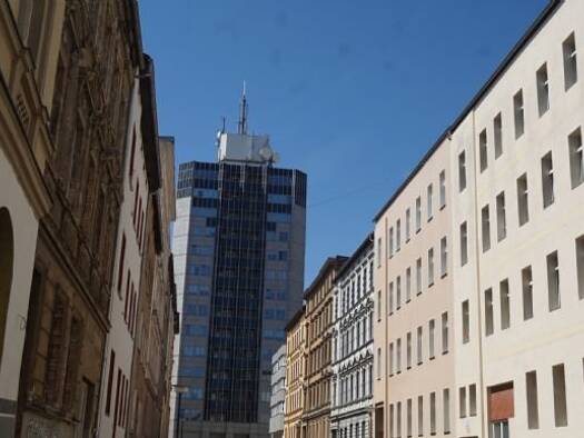 Wohnung zur Miete 160 € 12 m² frei ab sofort Meckelstraße 08 Innenstadt Halle (Saale) 06112