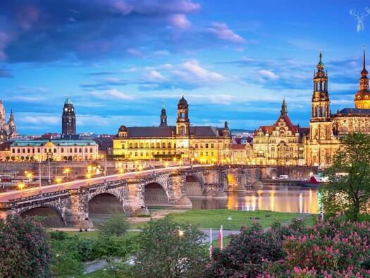 Wohnung zum Kauf 205.000 € 3 Zimmer 67 m² Pieschen-Süd Dresden 01127