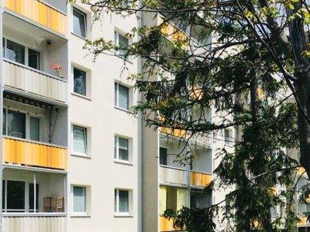 Wohnung zur Miete 439 € 3 Zimmer 57,9 m² frei ab 01.04.2026 Niederseidewitzer Weg 40 Leuben Dresden 01257