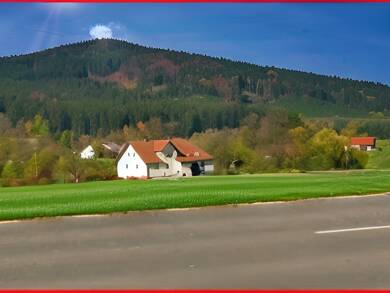 Bauernhaus zum Kauf 339.000 € 7 Zimmer 220 m² 4.318 m² Grundstück frei ab 01.10.2025 Waldmünchen Waldmünchen 93449
