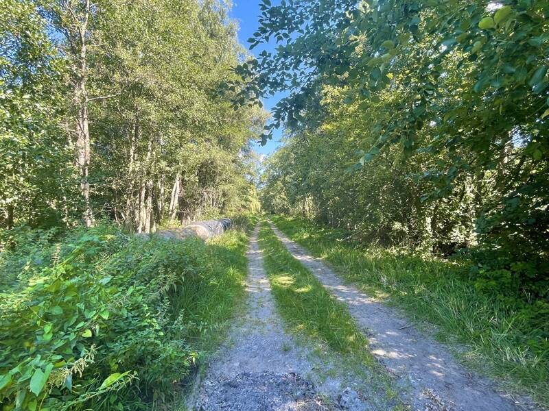 Property thumbnail 32