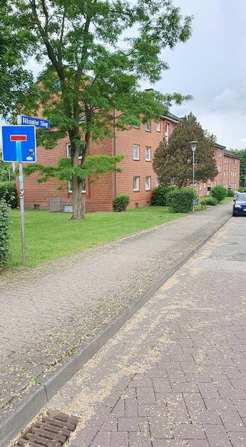 Wohnung zum Kauf provisionsfrei 91.000 € 2 Zimmer 49,2 m² 2. Geschoss Billstedter Stieg 1 Geesthacht 21502