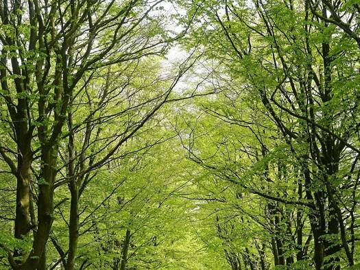 Wohnung zum Kauf provisionsfrei 352.870 € 4 Zimmer 99,4 m² EG Ullersdorf 01454