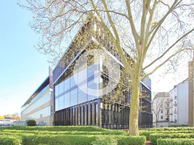 Bürofläche zur Miete 22,30 € 392 m² Bürofläche Eimsbüttel Hamburg 22769