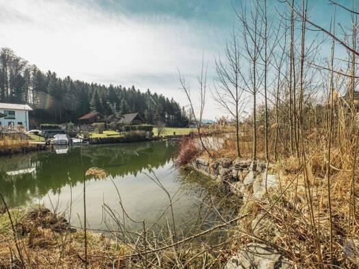 Grundstück zum Kauf 670.000 € 535 m² Grundstück Seekirchen am Wallersee 5201