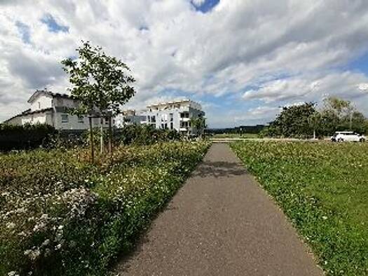 Penthouse zur Miete 1.240 € 3 Zimmer 89 m² Geschoss 3/4 frei ab 01.08.2026 Röttgen Bonn 53125