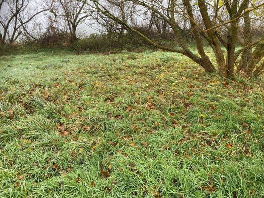 Freizeitgrundstück zum Kauf 129.000 € 13.000 m² Grundstück Holßel Gestland 27607