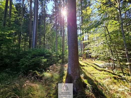 Grundstück zum Kauf als Kapitalanlage geeignet 109.000 € 25.059 m² Grundstück Böhmfeld 85113