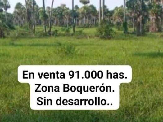 Land-/Forstwirtschaft zum Kauf 45.739.188 € 91.000 m² Grundstück 160221 Mariscal José Félix Estigarribia