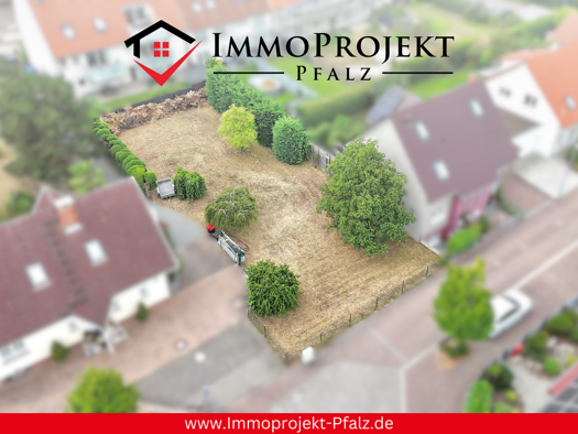 Grundstück zum Kauf provisionsfrei 339.000 € 529 m² Grundstück Haßloch 67454
