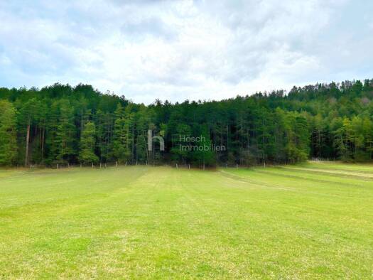 Grundstück zum Kauf 579.000 € 7.995 m² Grundstück Pernitz 2763