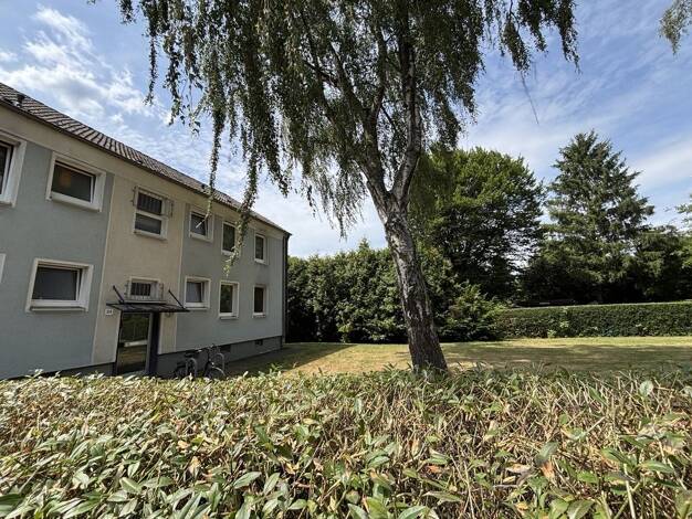 Wohnung zur Miete 510 € 2 Zimmer 56,4 m² EG Rheinstahlstraße 24 Brassert Marl 45768
