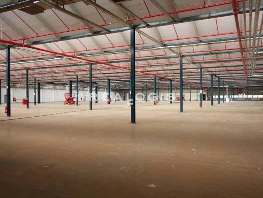 Halle/Industriefläche zur Miete provisionsfrei 3.000 m² Lagerfläche Flörsheim Flörsheim 65439