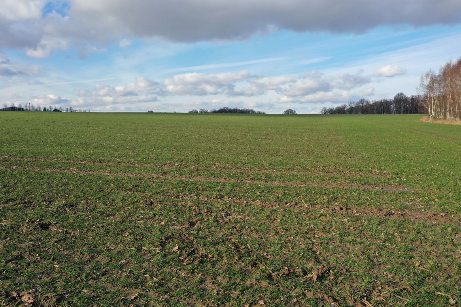 Landwirtschaftliche Fläche zum Kauf 410.000 m²<br/>Fläche 410.000 m²<br/>Grundstück Mannsdorf Döbeln 04720