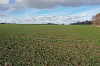 Landwirtschaftliche Fläche zum Kauf 410.000 m² 410.000 m² Grundstück Mannsdorf Döbeln 04720