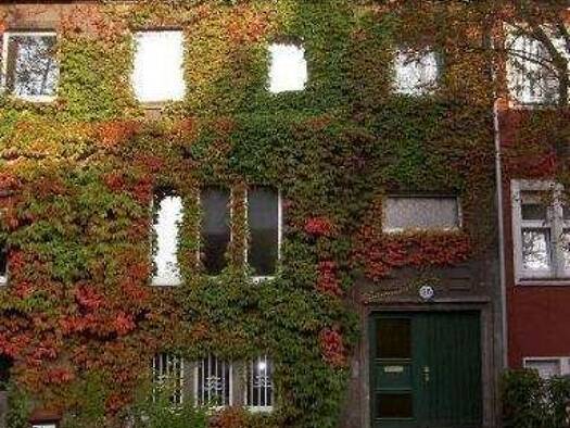 Studio zur Miete 352 € 1 Zimmer 30,5 m² Geschoss 2/3 frei ab sofort Schönhauser Straße 26 Mitte Dortmund 44135
