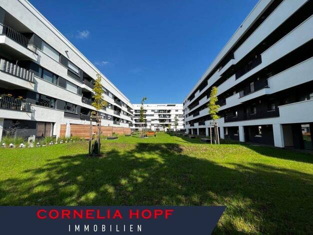 Wohnung zur Miete 620 € 2 Zimmer 54 m² EG Heinrich-Schütz Str. 10 Lutherplatz Halle (Saale) 06110