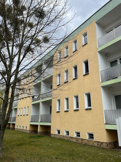 Wohnung zur Miete 189 € 1 Zimmer 30,4 m² EG frei ab sofort Braunsdorfer Str. 22 Apollensdorf Lutherstadt Wittenberg 06886