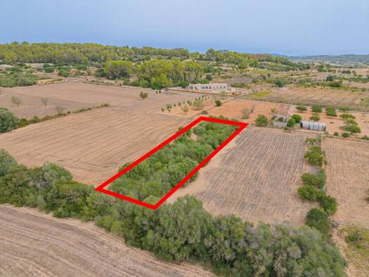 Gewerbegrundstück zum Kauf 12.000 € 1.775 m² Grundstück frei ab sofort Porreres 07260