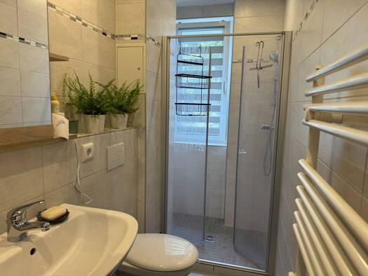 Wohnung zur Miete 210 € 1 Zimmer 30,2 m² EG Pestalozzistraße 61 Werdau Werdau 08412