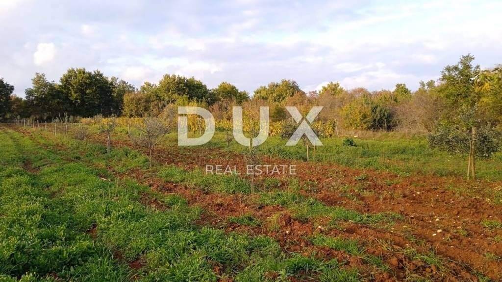 Land-/Forstwirtschaft zum Kauf 285.000 € Svetvincenat