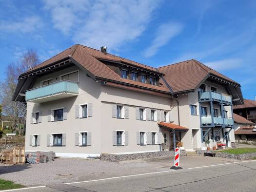 Mehrfamilienhaus zum Kauf provisionsfrei 1.650.000 € 29 Zimmer 750 m² 1.900 m² Grundstück Rickenbach 79736