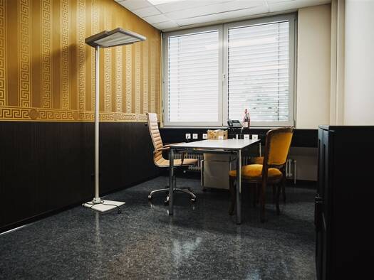 Bürofläche zur Miete provisionsfrei 199 € 199 m² Bürofläche Kehl Kehl 77694