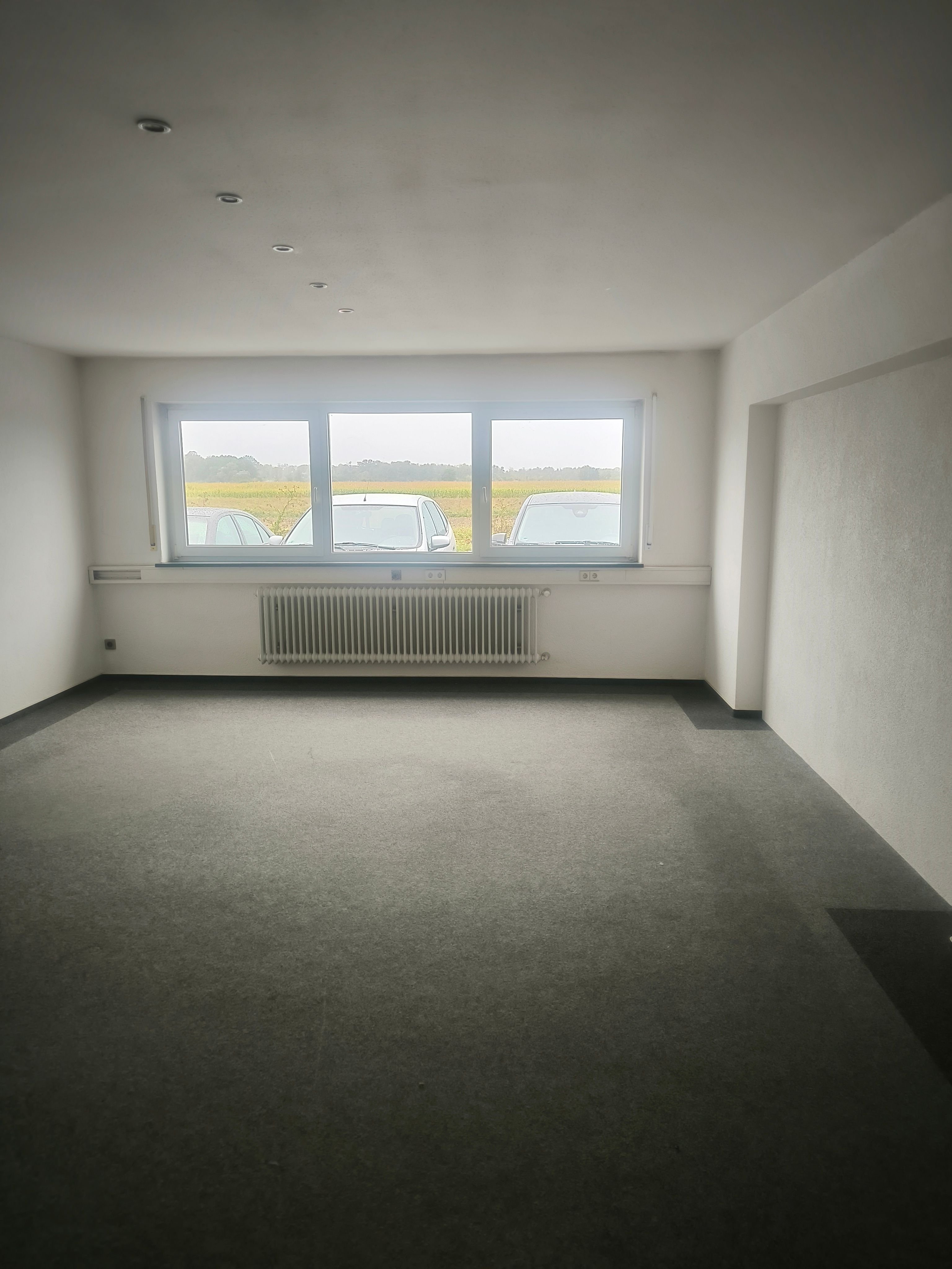 Bürofläche zur Miete 400 € 1 Zimmer 45 m²<br/>Bürofläche Dinglingen - West Lahr/Schwarzwald 77933