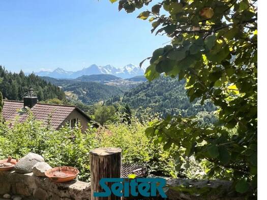 Einfamilienhaus zum Kauf 360.000 € 4,5 Zimmer 155 m² 717 m² Grundstück Obere Straße Stockmatt Kleines Wiesental 79692