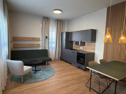 Wohnung zur Miete 538 € 1 Zimmer 40,5 m² 1. Geschoss frei ab 10.10.2026 Deggendorfer Straße 14 Plattling Plattling 94447