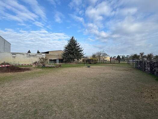 Grundstück zum Kauf 60.000 € 1.000 m² Grundstück Schierau Möst 06779