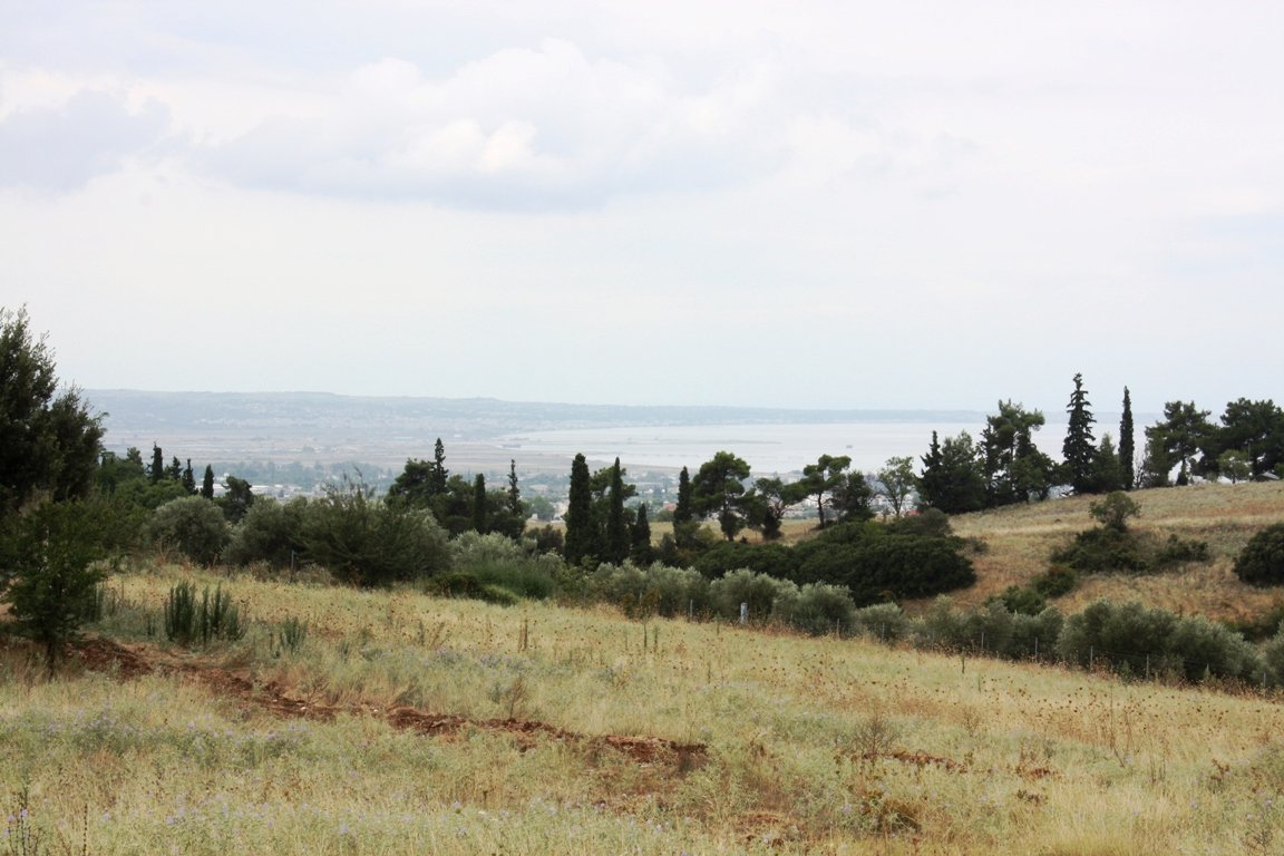 Land-/Forstwirtschaft zum Kauf 430.000 € 4.200 m²<br/>Grundstück Thessaloniki