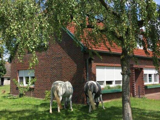 Einfamilienhaus zum Kauf 319.000 € 6 Zimmer 230,6 m² 4.902 m² Grundstück Bohlenbergerfeld Zetel / Bohlenbergerfeld 26340