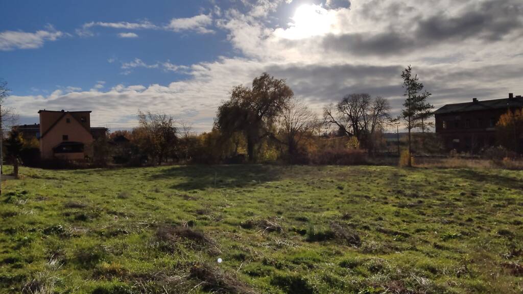 Grundstück zum Kauf provisionsfrei 21.060 € 1.131 m² Grundstück Seelingstädt 07580