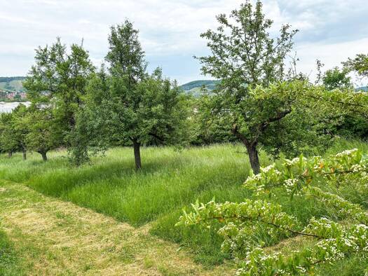 Grundstück zum Kauf 340.000 € 1.702 m² Grundstück Heidingsfeld Würzburg 97084