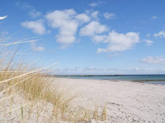 Wohnung zum Kauf 219.000 € 2 Zimmer 43,5 m² Großenbrode 23775