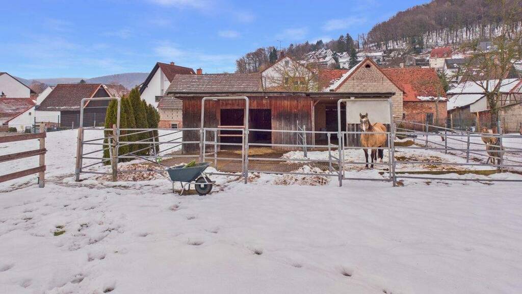 Einfamilienhaus zum Kauf 962.000 € 18 Zimmer 423 m² 2.578 m² Grundstück Edelbach Kleinkahl 63828