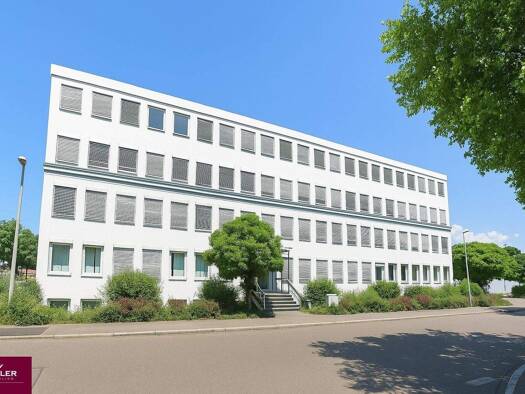 Bürofläche zur Miete 1.800 € 5,5 Zimmer 210 m² Bürofläche Brühl Freiburg im Breisgau 79108