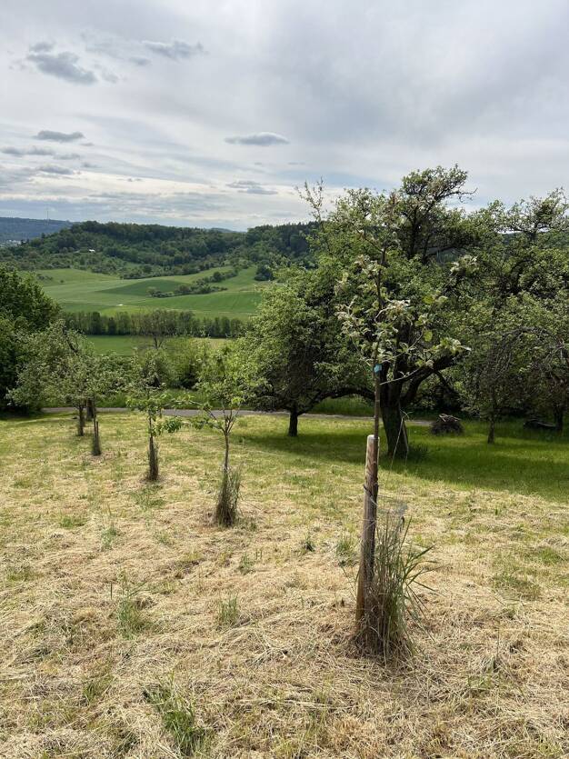Freizeitgrundstück zum Kauf 3.500 € 1.074 m² Grundstück Haubersbronn Schorndorf 73614