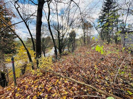 Grundstück zum Kauf 239.000 € 639 m² Grundstück Woltersdorf 15569