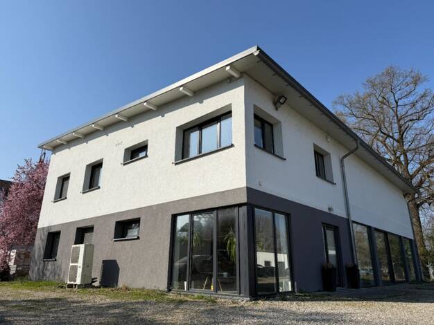 Wohn- und Geschäftshaus zum Kauf 985.000 € 345,5 m² Bürofläche teilbar ab 66 m² Wiedengrün 6 Breisach Breisach am Rhein 79206