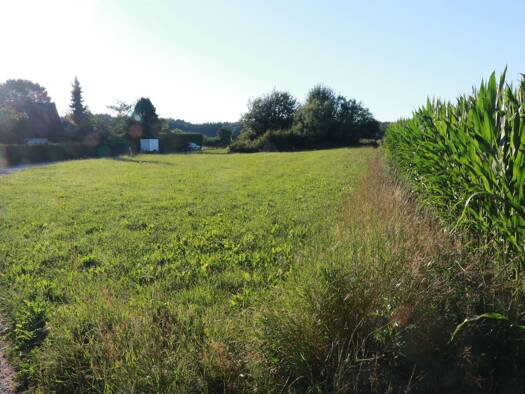 Grundstück zum Kauf provisionsfrei 100.000 € 1.405 m² Grundstück frei ab sofort Türkenfeld 82299